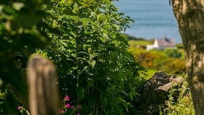 A lush garden with dense foliage and a stone wall.