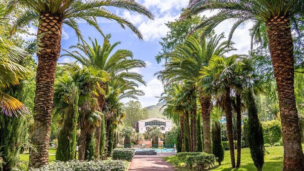 Un sendero bordeado de palmeras que conduce a un edificio de diseño arquitectónico moderno.