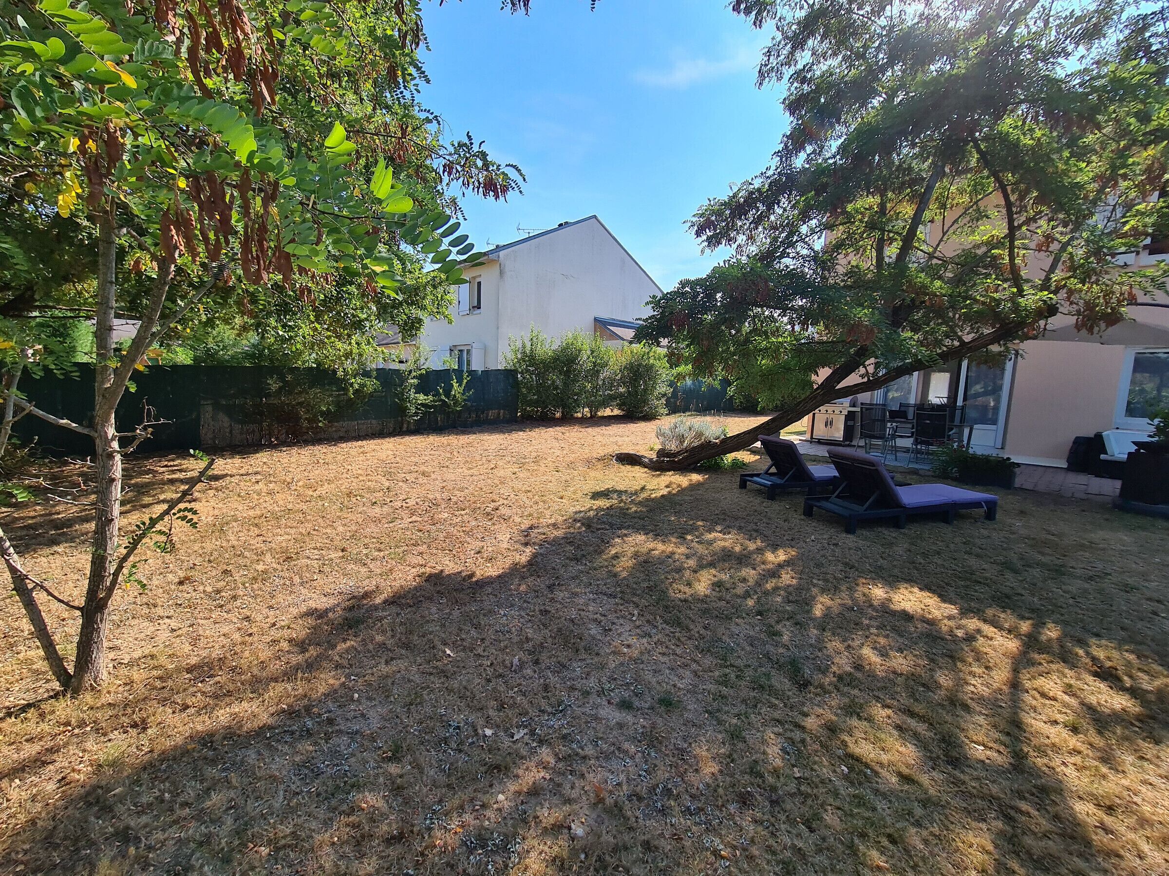 Une cour arrière avec une pelouse, un arbre et un bâtiment en arrière-plan.