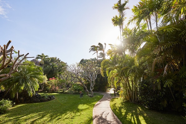 Gardens