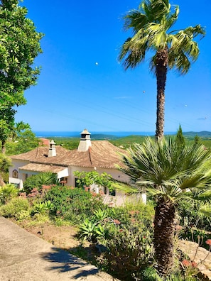 Property grounds - Magical VILLA "CASA KOI" in São Brás de Alportel (sao bras de Alportel)