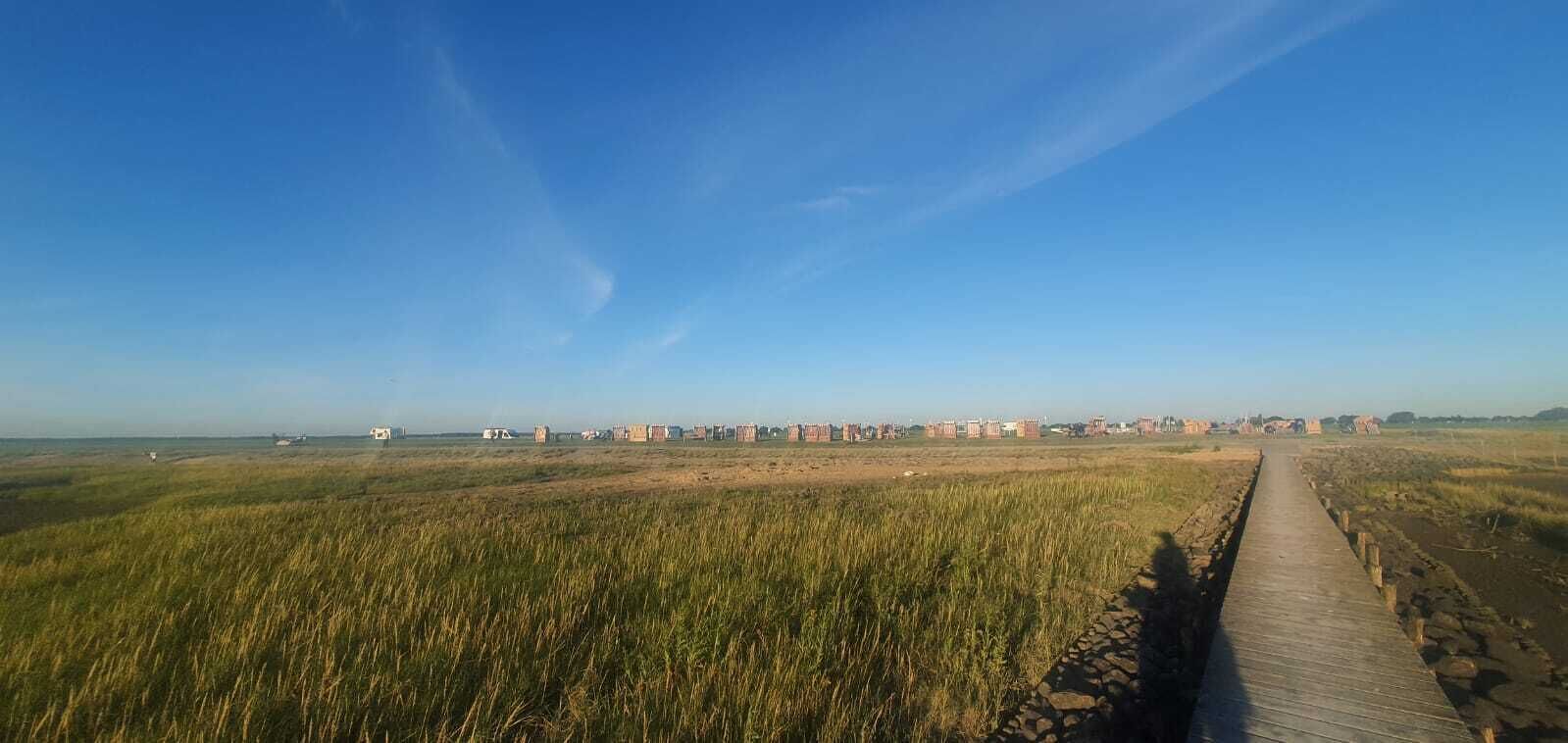 Une longue promenade en bois traverse un champ, avec des bâtiments visibles au loin.