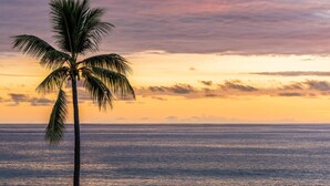 Eine einzelne Palme vor einem Sonnenuntergang über dem Meer.