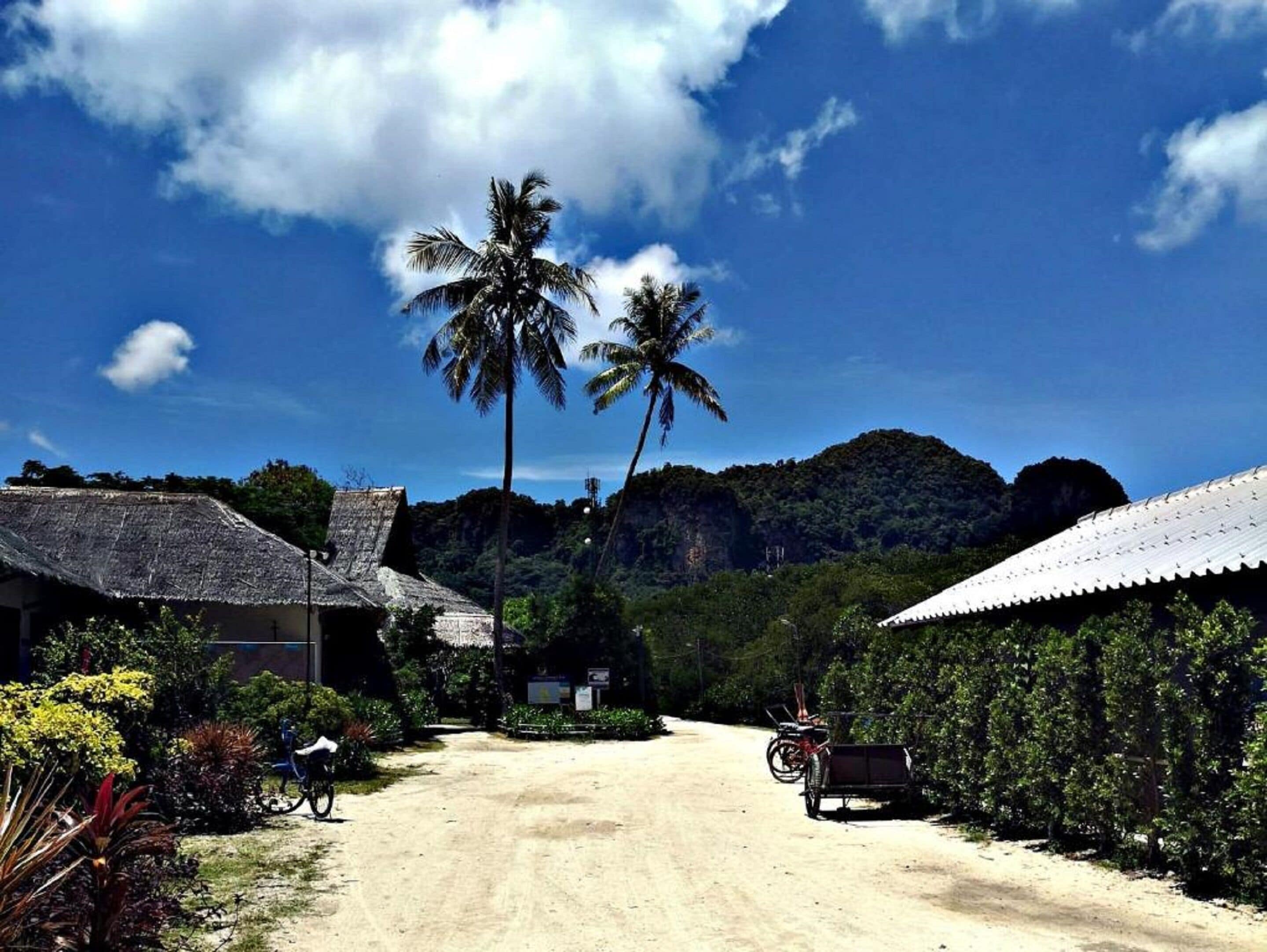 Un pueblo rural con casas de techo de paja, un camino de tierra y palmeras.