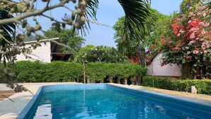 A rectangular swimming pool with clear blue water, surrounded by lush greenery and a variety of plants.