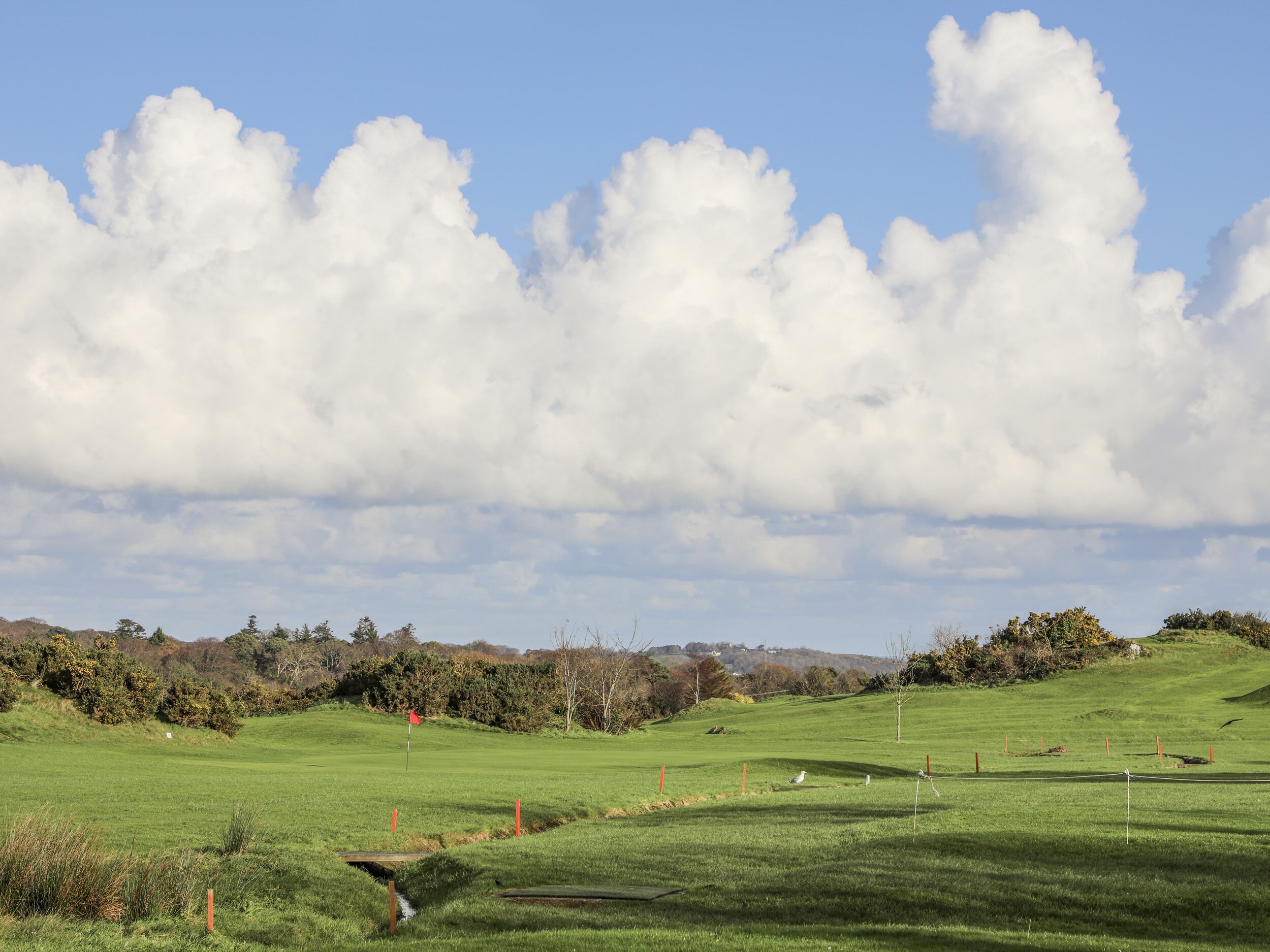 A grassy field with a red flag, a small stream, and a distant hill with trees.