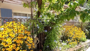 Un jardín con flores amarillas, un muro de piedra y una cerca de metal.