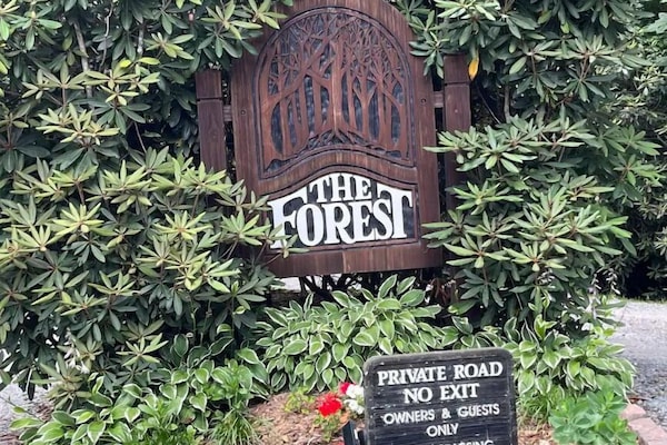 Àrea exterior de l'allotjament