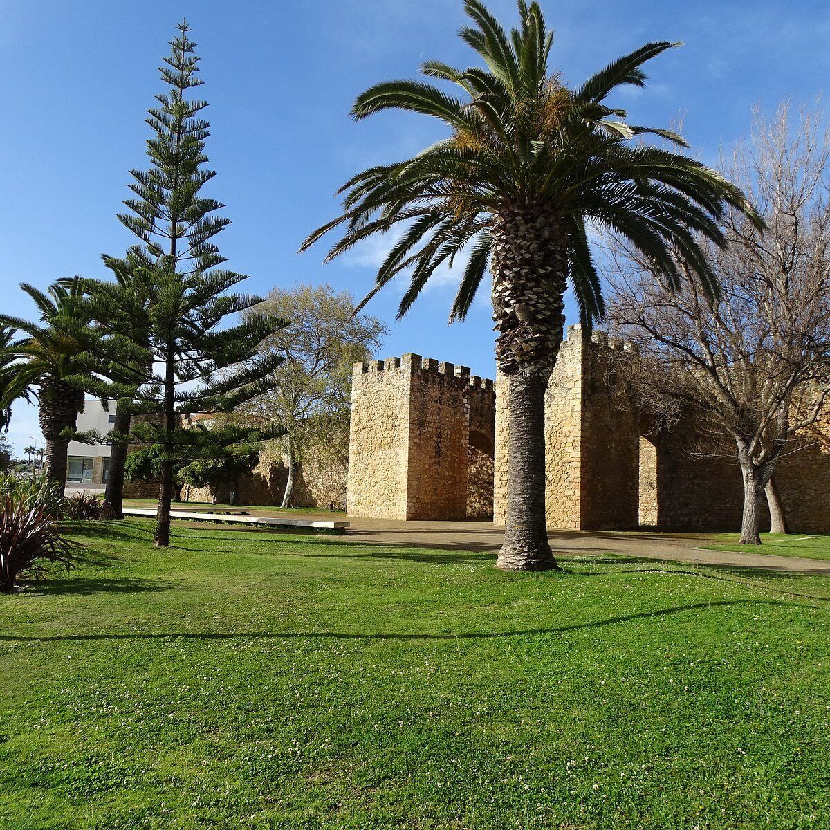A courtyard with a palm tree, a tall conifer, and a stone building with a tower.