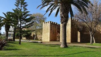 A courtyard with a palm tree, a tall conifer, and a stone building with a tower.