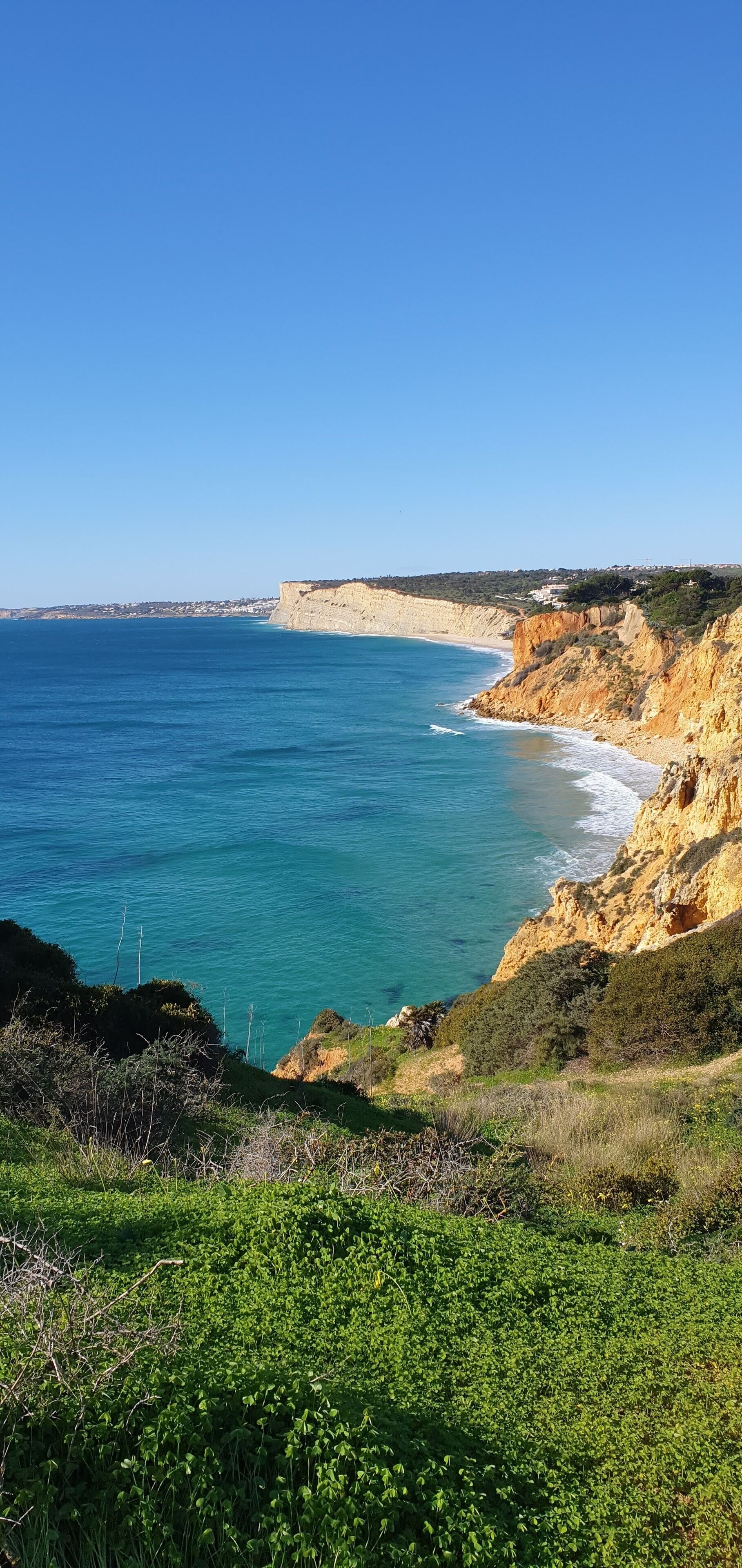 A coastal landscape with a clear view of the sea, cliffs, and greenery.