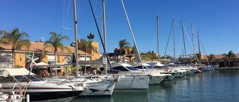 Un port de plaisance où sont amarrés de nombreux voiliers.