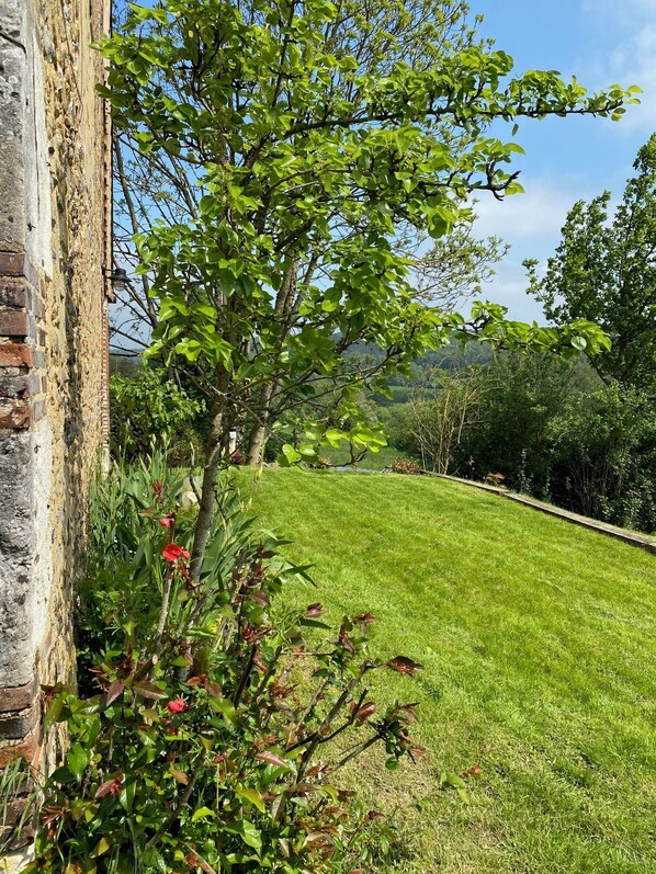 Terrain de l’hébergement 