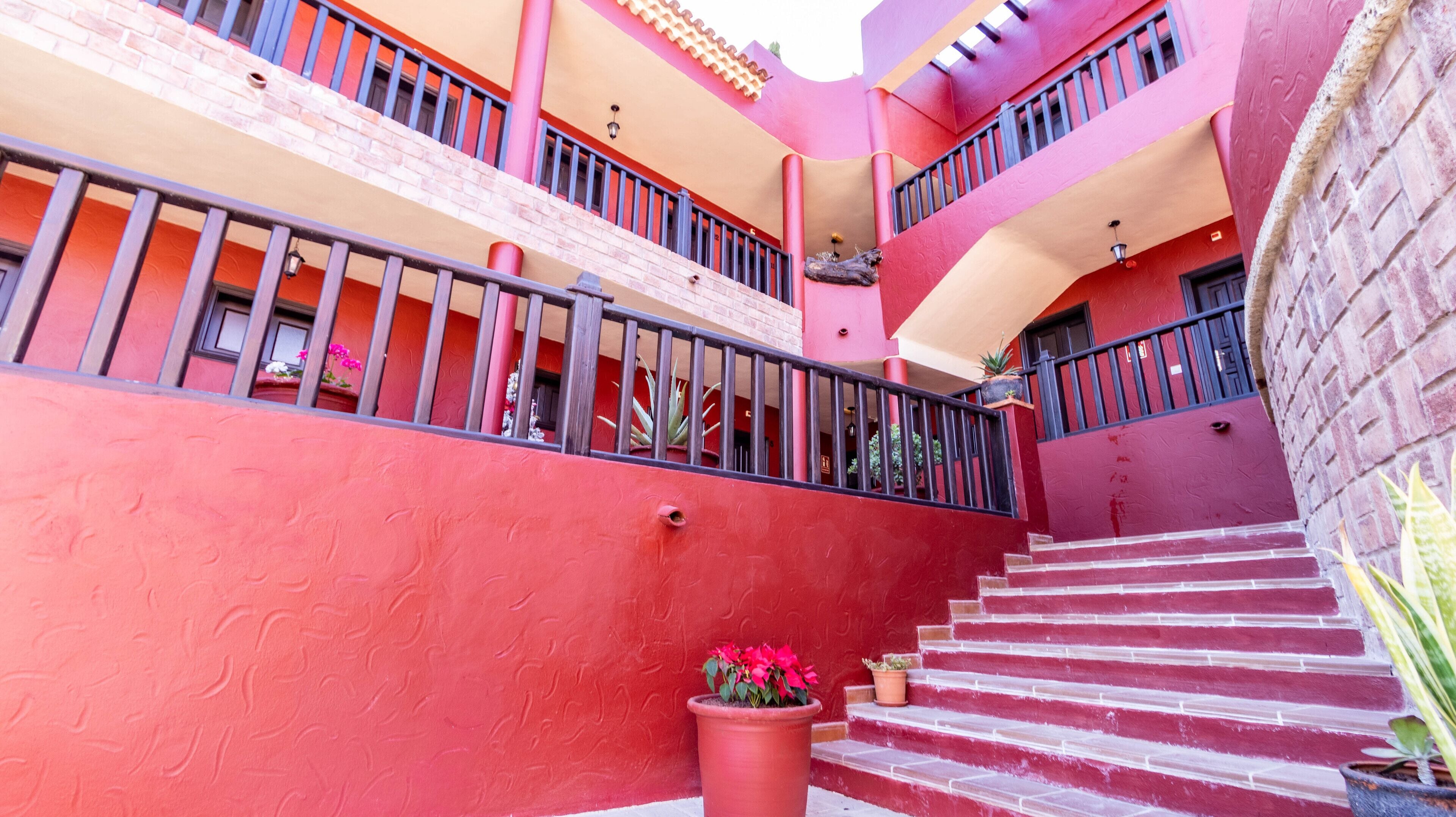 Foto - Hotel Ecolife Tenerife