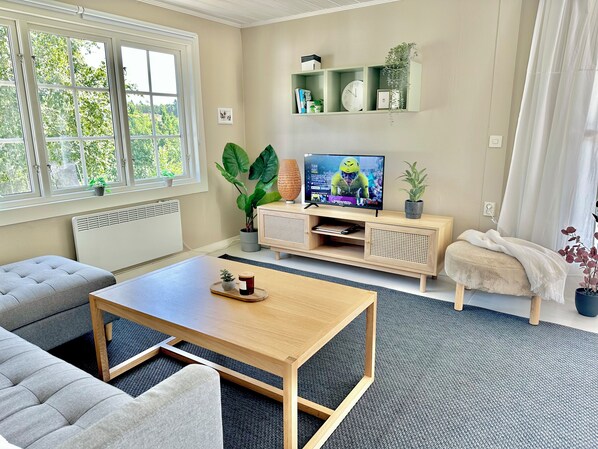 Smart TV, books, computer monitors