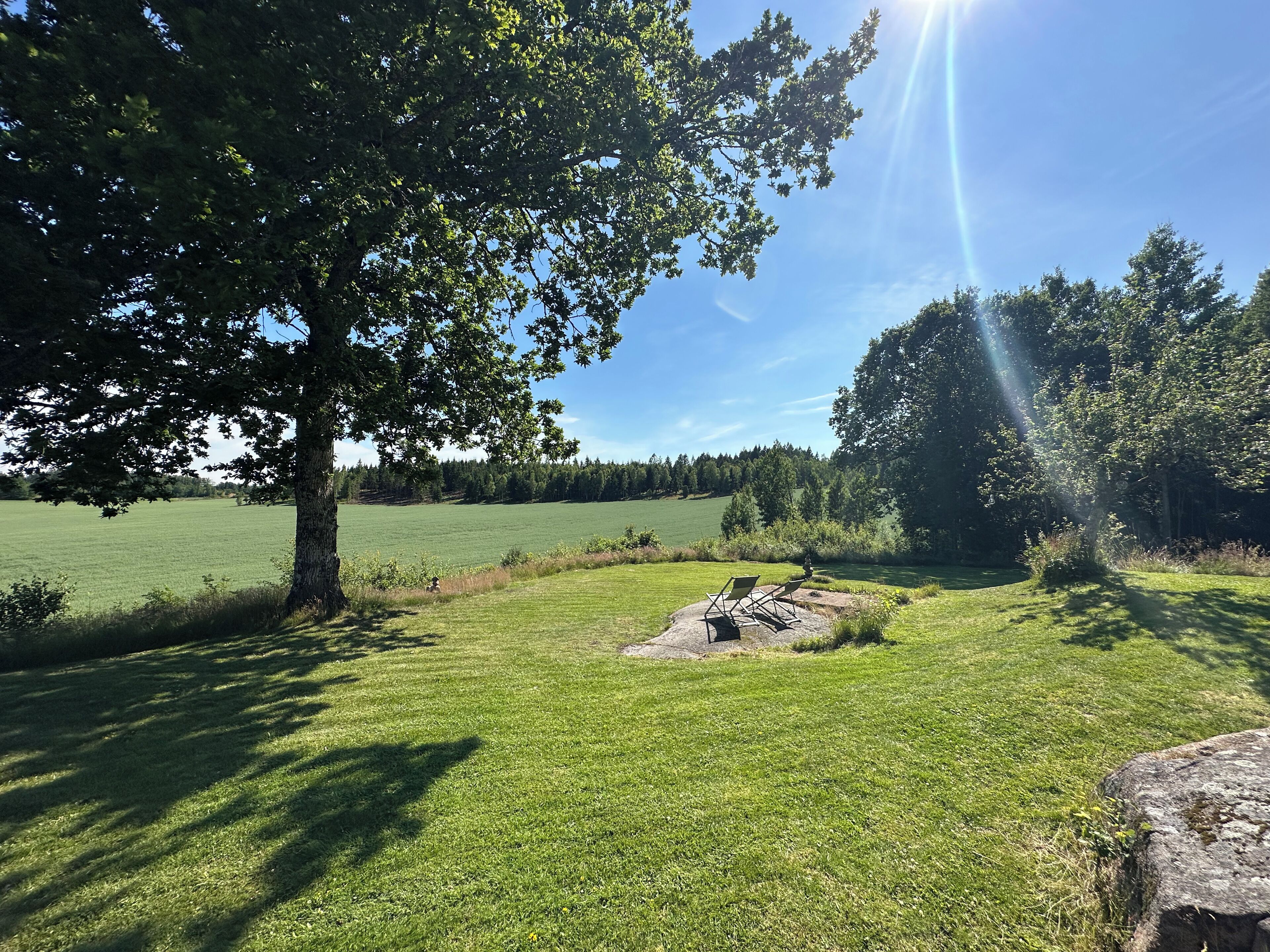 A grassy field with a large tree and a stone structure.