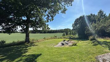 A grassy field with a large tree and a stone structure.