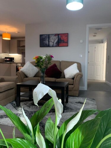 Luxury Modern Belfast City Center 2 Bed Apartment