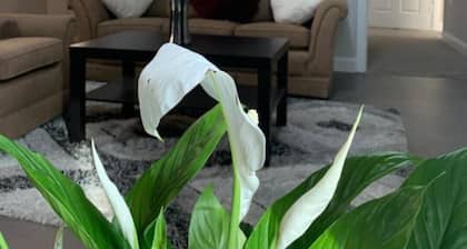 Luxury Modern Belfast City Center 2 Bed Apartment