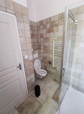 Shower, hair dryer, soap, toilet paper