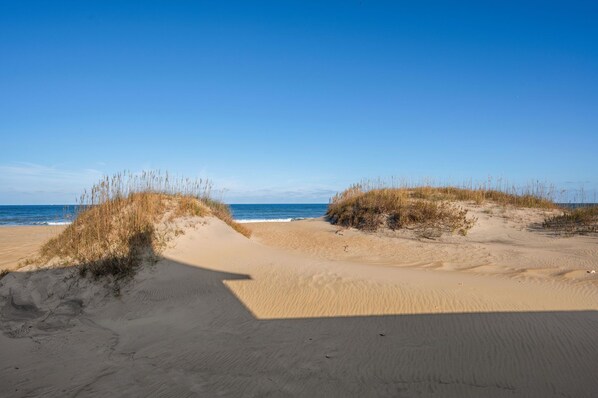 A sandy beach with dunes and sparse vegetation.