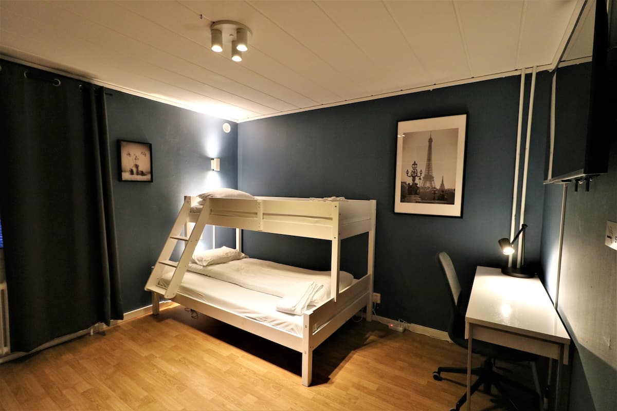 A bunk bed in a room with a desk and chair, a picture on the wall, and a ceiling light.