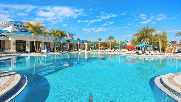 A large swimming pool with lounge chairs and umbrellas, surrounded by palm trees and a building with a blue roof.