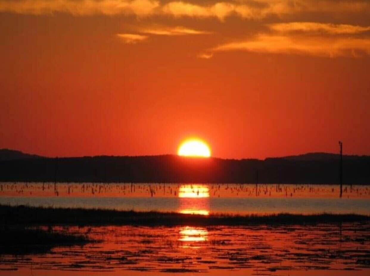 Tentrr State Park Site - Louisiana North Toledo Bend State Park - Lakeview D - S