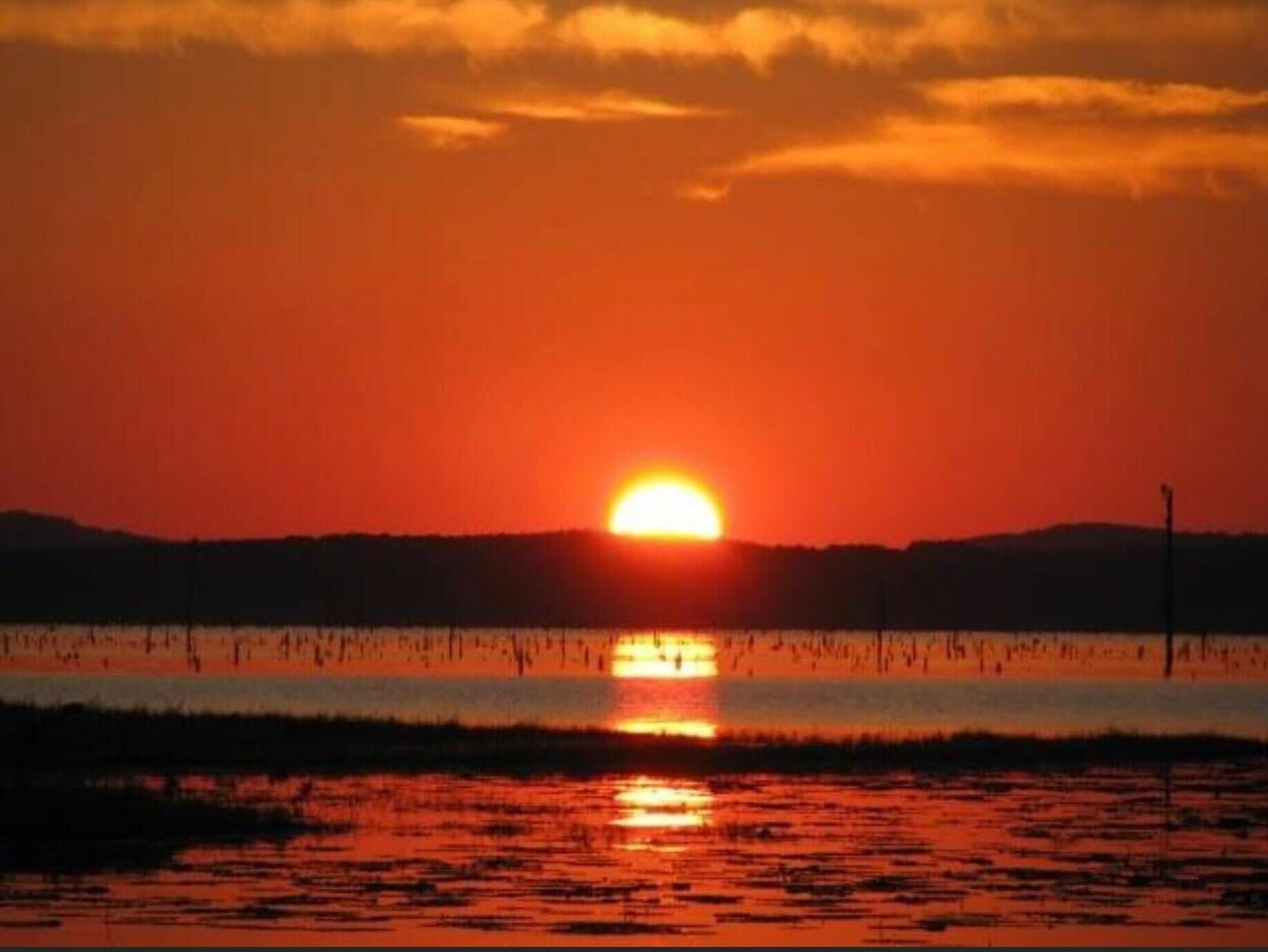 Tentrr State Park Site - Louisiana North Toledo Bend State Park - Forest Glade H