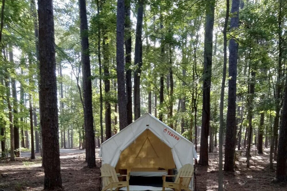 Tentrr State Park Site - Louisiana North Toledo Bend State Park - Forest Glade H