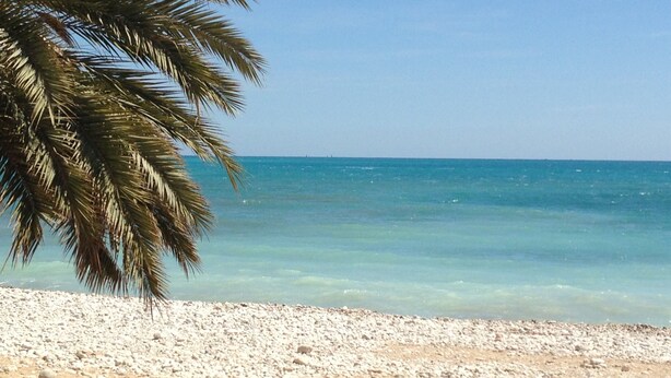 A beach with clear turquoise water, a sandy shore, and a palm tree. - Fantastic views , sun and relax at Altea Hills Charming house Costa Blanca (Altea Hills)