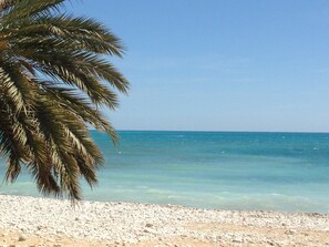 Een strand met helder turquoise water, een zandstrand en een palmboom.