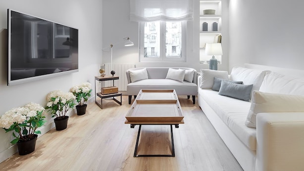 Un salon moderne avec un téléviseur à écran plat, un canapé, une table basse et des plantes en pot.