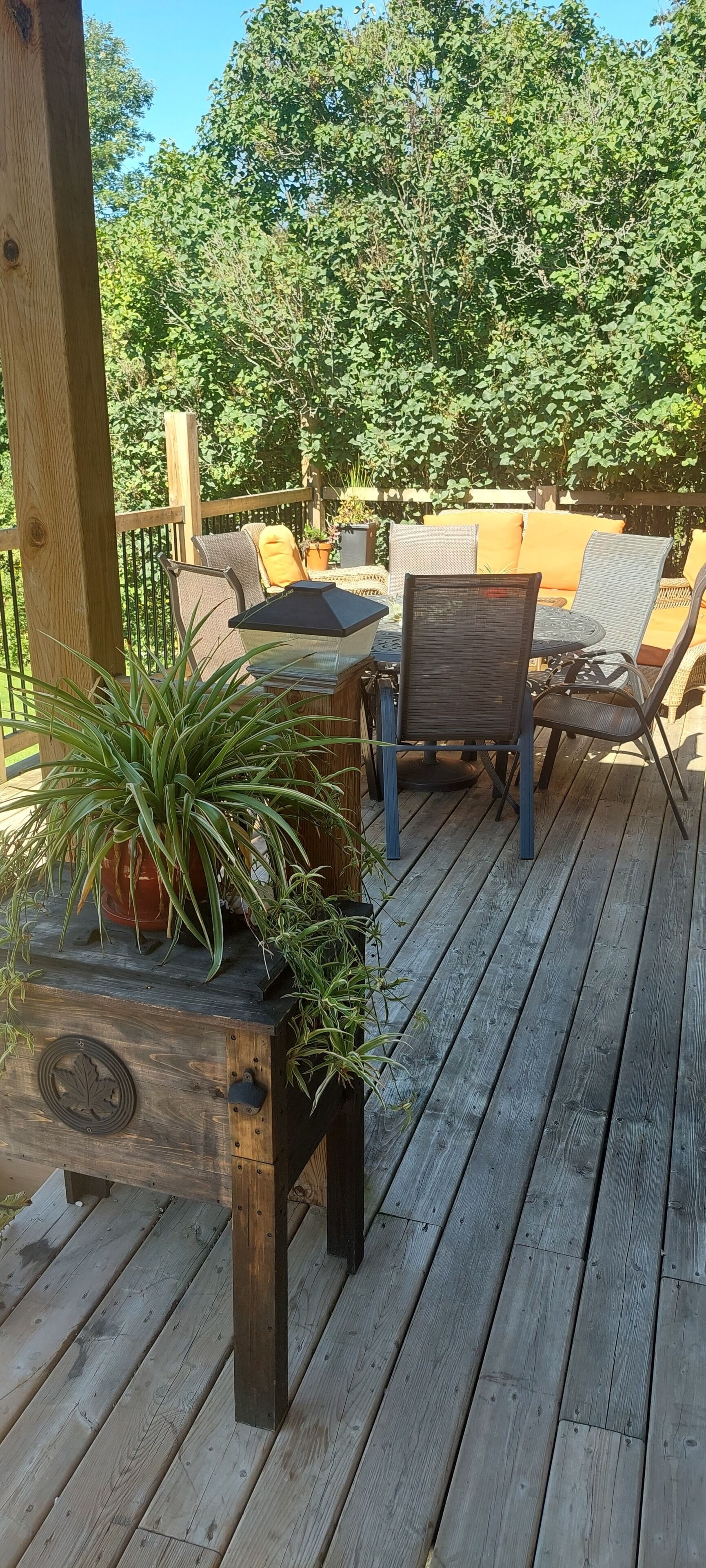 Quaint Rural Property Nestled in  historic Halloway Heights