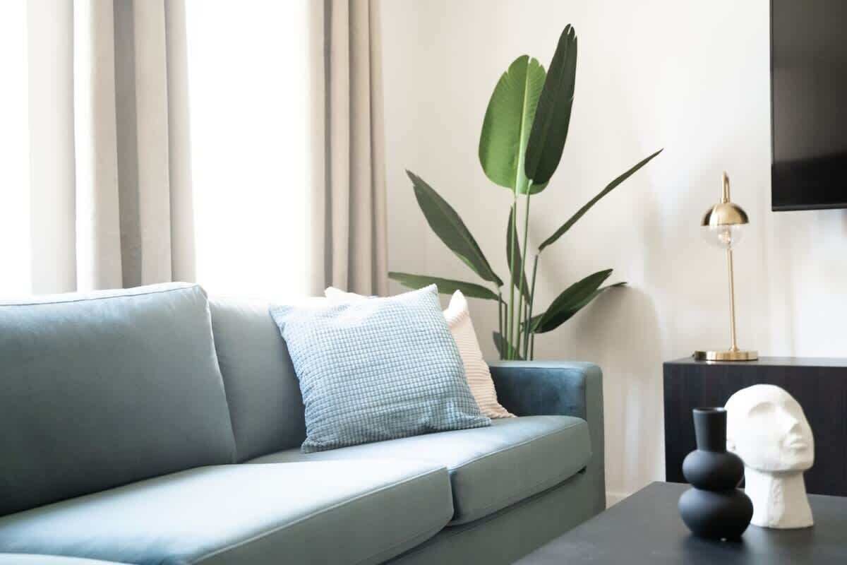 A modern living room with a sofa, a potted plant, a lamp, and a bust sculpture on a table.