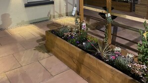 Un espacio exterior bien iluminado con una pérgola de madera, cestas colgantes con flores y un parterre con diversas plantas.