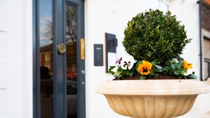 Una planta en maceta con flores y un pequeño árbol sobre un pedestal, al exterior de un edificio con una puerta y un dispositivo fijado a la pared.