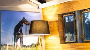 A modern living room with a sofa, a lamp, a radiator, and a large framed picture of a dog in a field.