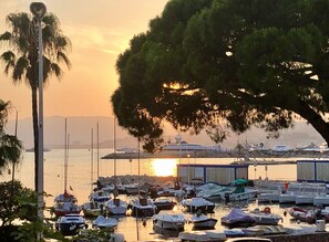A marina with numerous boats docked, a large tree providing shade, and a sunset in the background. - Croisette Bijou Plage Gorgeous  apartment amazing seaview,  beaches all around (Cannes)