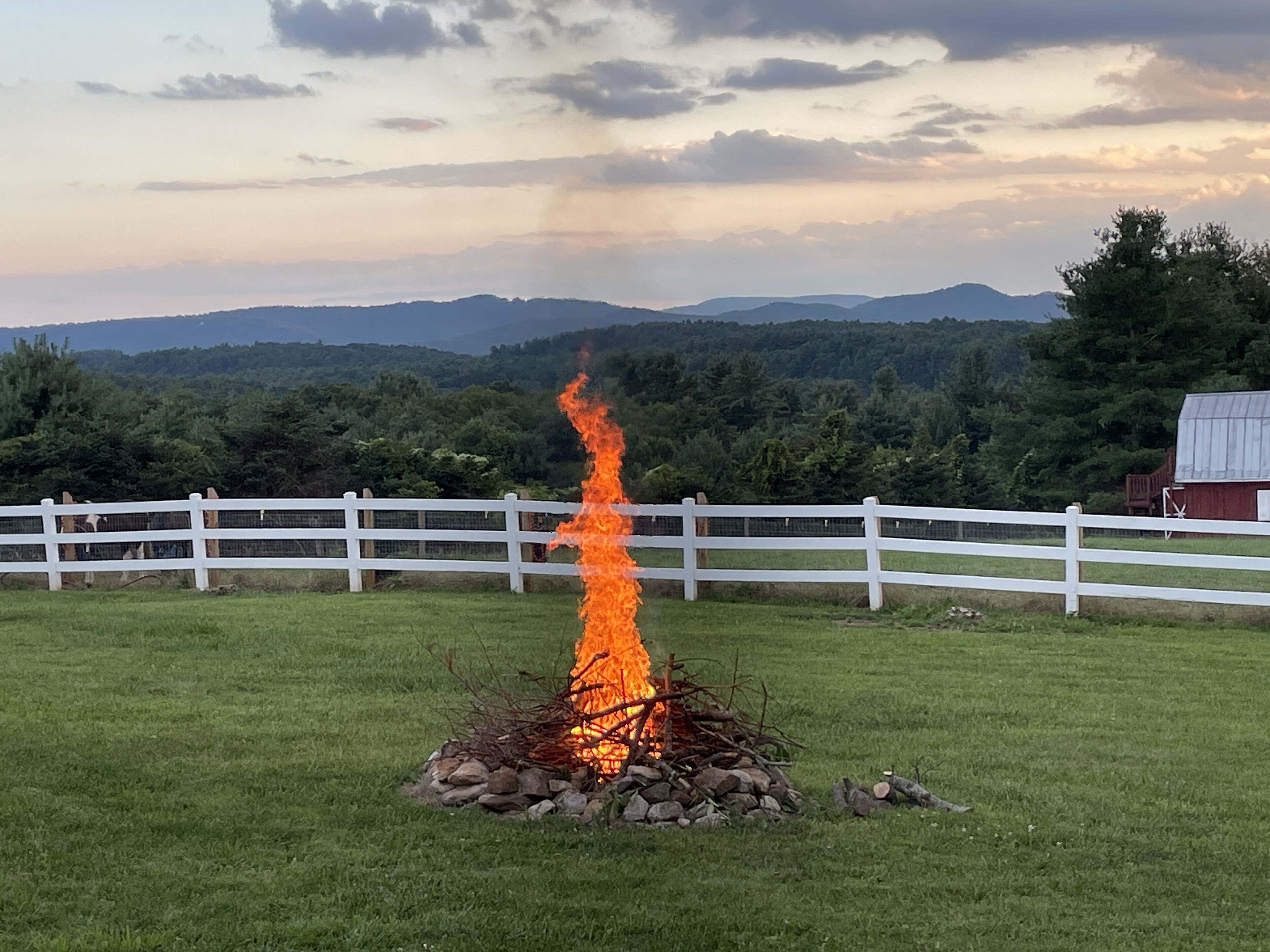 Captivating Views, Peaceful & Comfy~Natures Acres