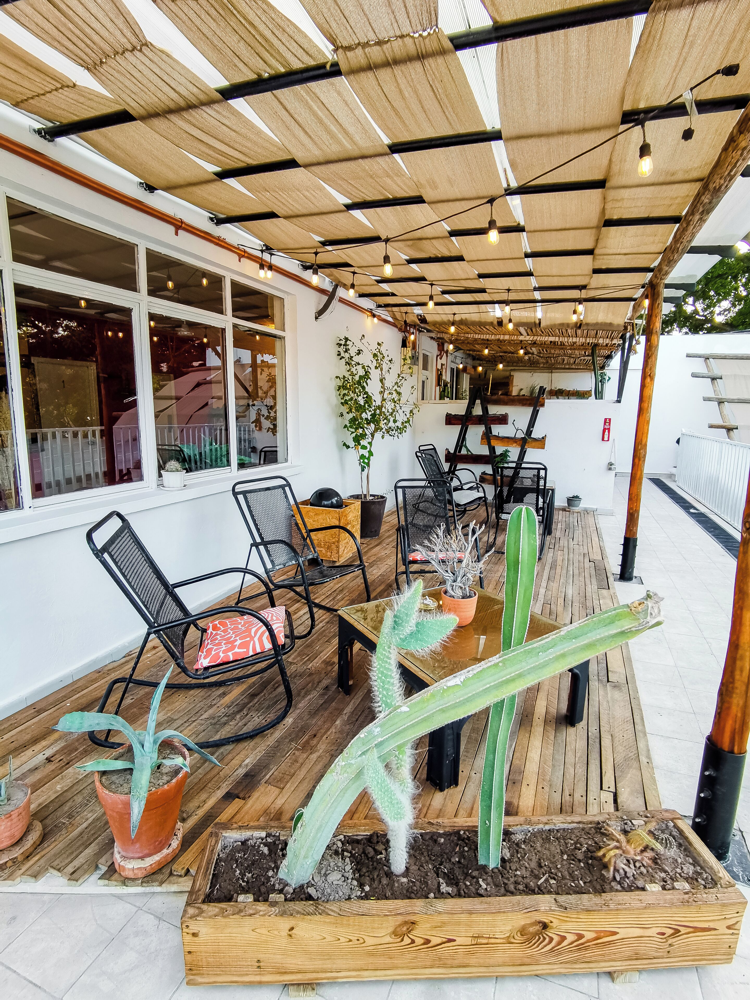 Dormitorio compartido | Terraza o patio