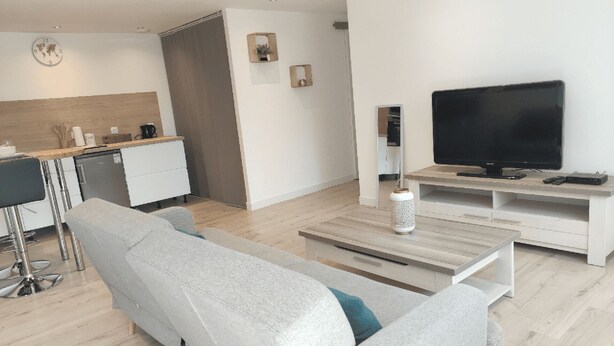 A modern living room with a grey sofa, a coffee table, and a TV on a wooden stand. - Welcome to the Gardens of Qiara.<br>Charming cottages in the heart of the Vosges Mo (Mattaincourt)