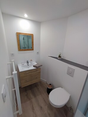 Regadera, secadora de cabello, toallas, jabón 