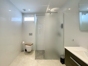 Douche, séchoir à cheveux, serviettes fournies