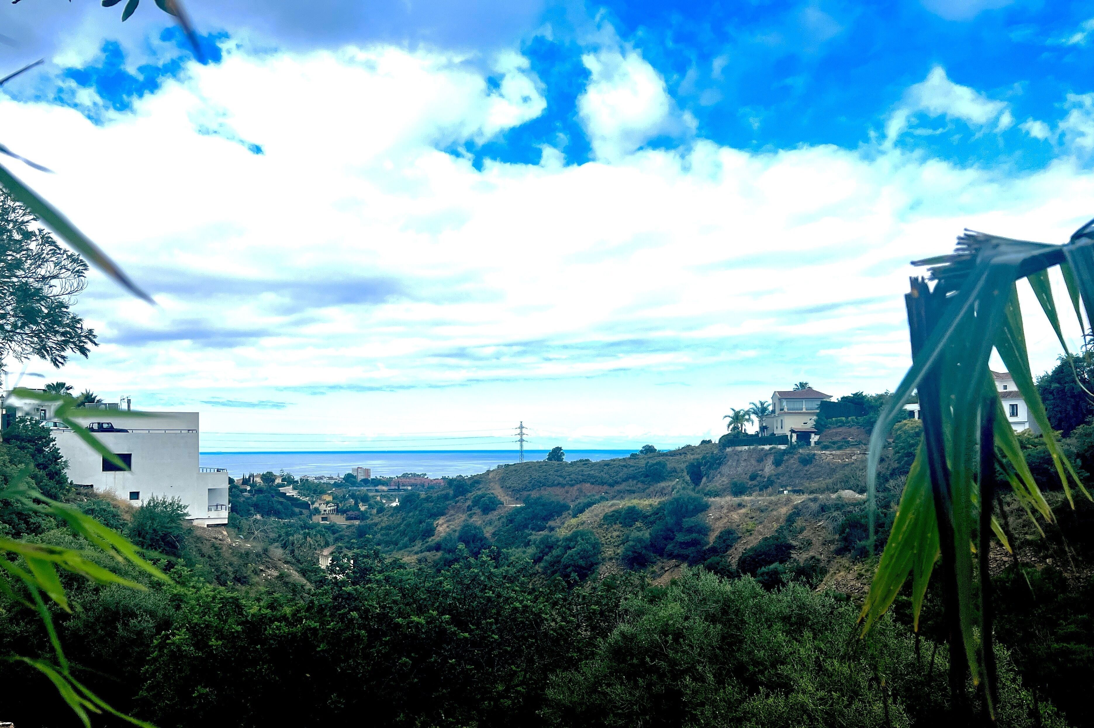 A coastal landscape with a white building, lush greenery, and a clear sky.
