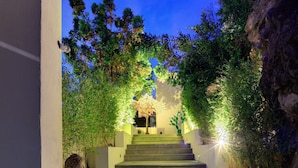 Una escalera conduce a la entrada de un edificio, rodeada de vegetación e iluminada por luces.