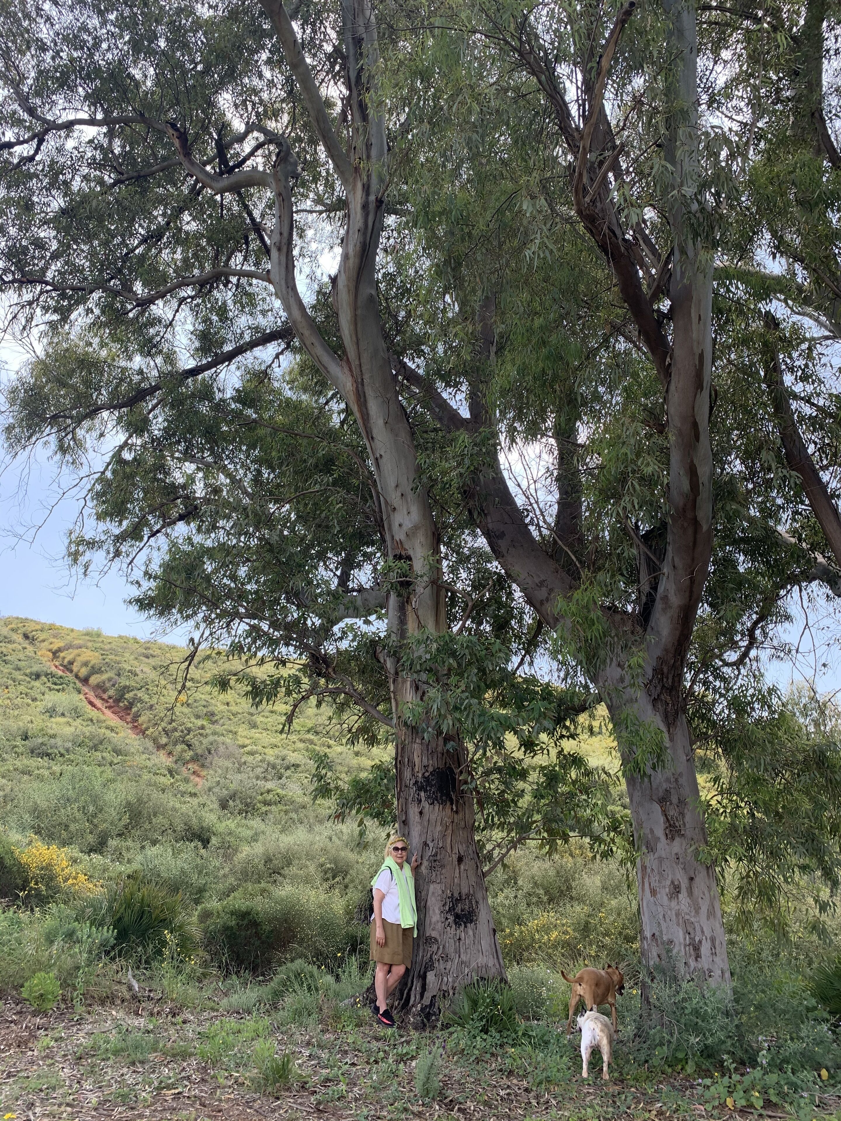 Foto - Marbella Boutique Art suites