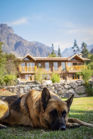 Exterior detail - URUHome Cusco (Urubamba)