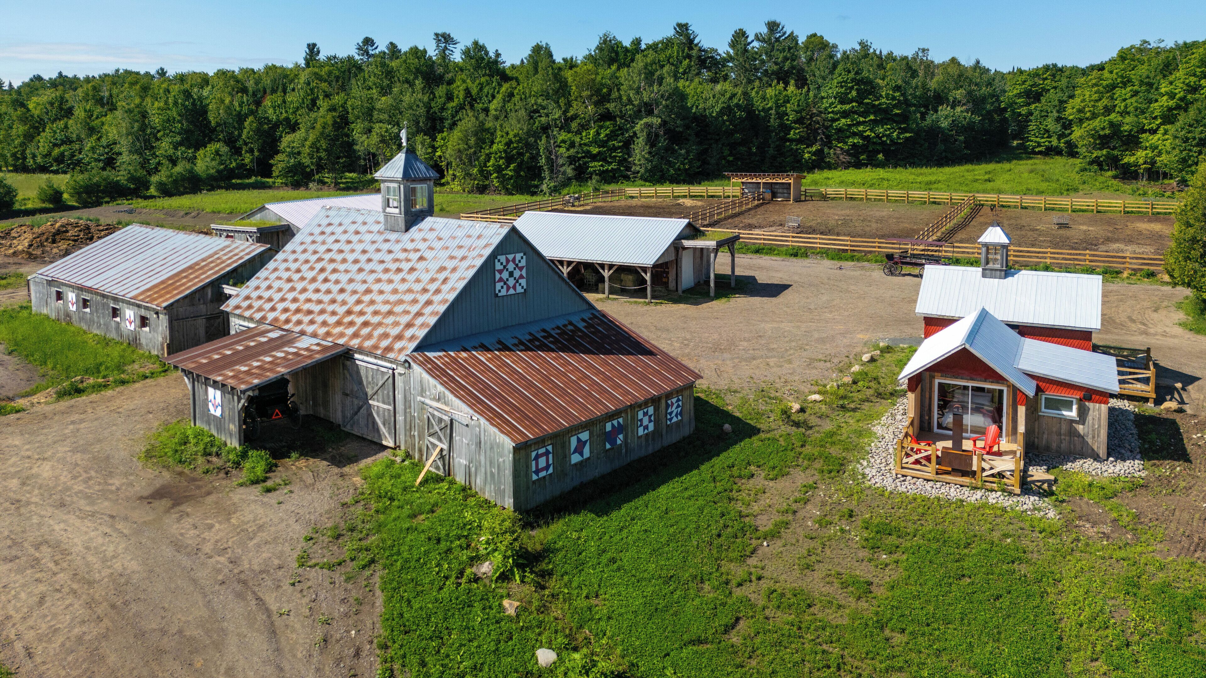 Vista desde la habitación