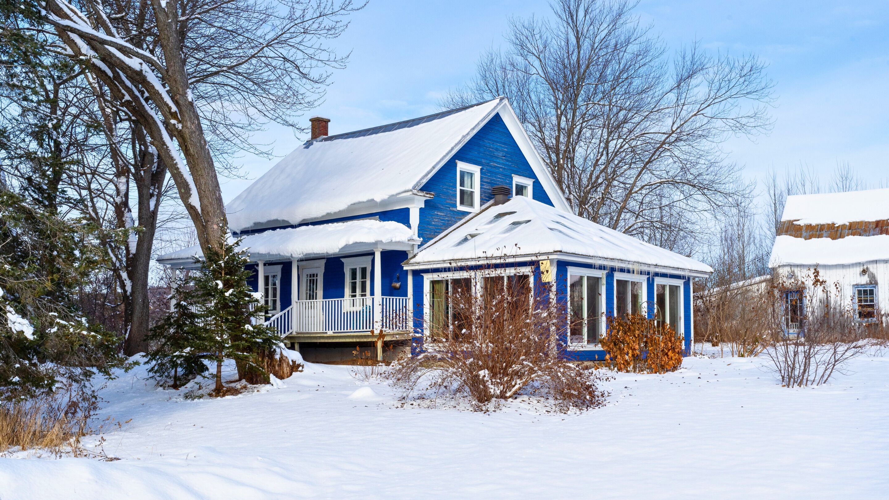 Comfort House | Garden view